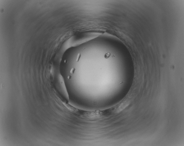 X0000070190384200606021103