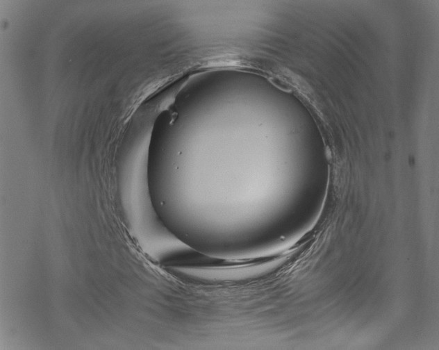 X0000070190385200606021102