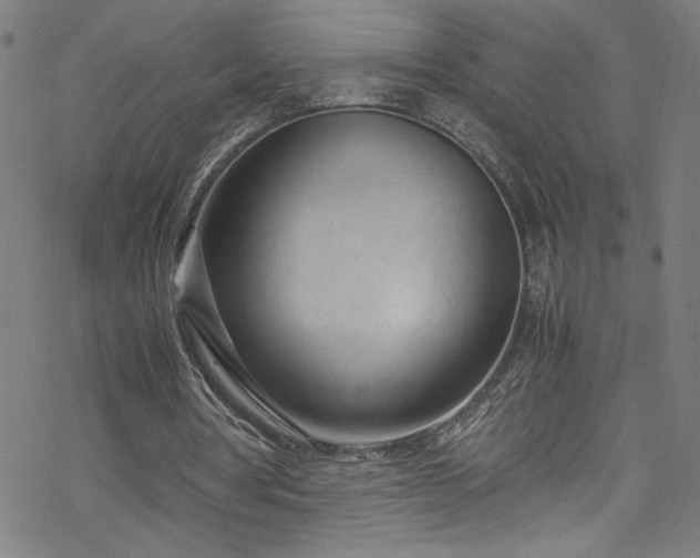 X0000070190386200606021102