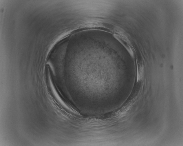 X0000070190387200606021102