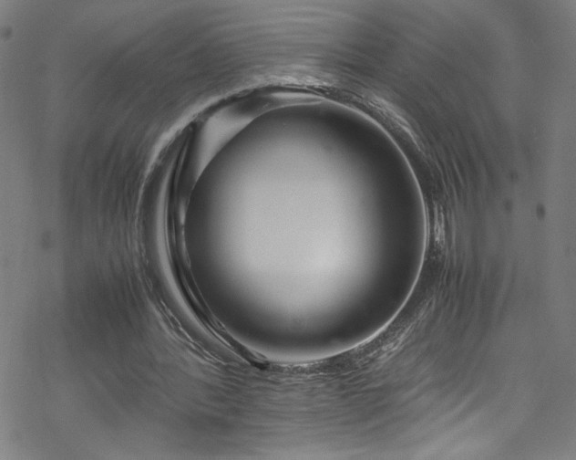 X0000070190388200606021102