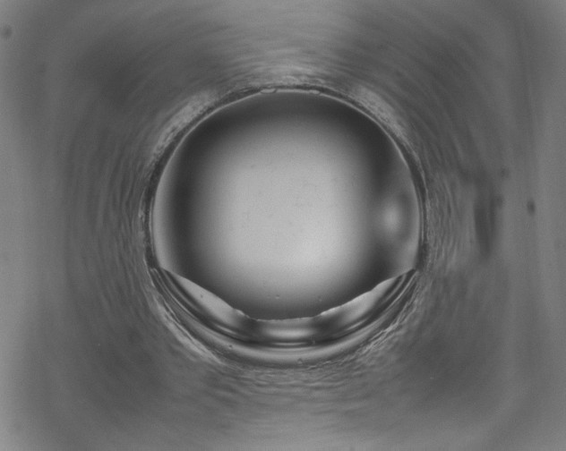 X0000070190389200606021102