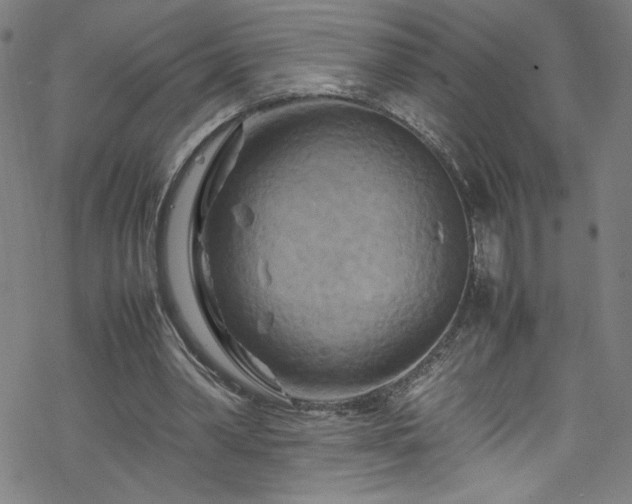 X0000070190390200606021102