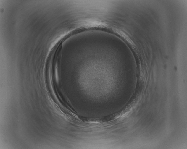 X0000070190391200606021102