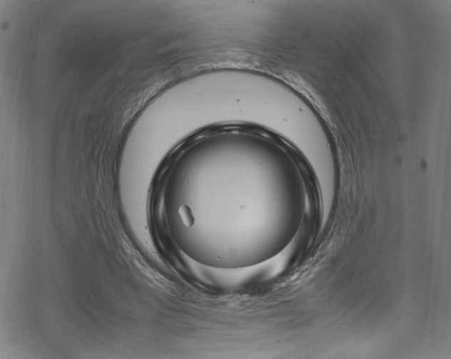 X0000070190393200606021102