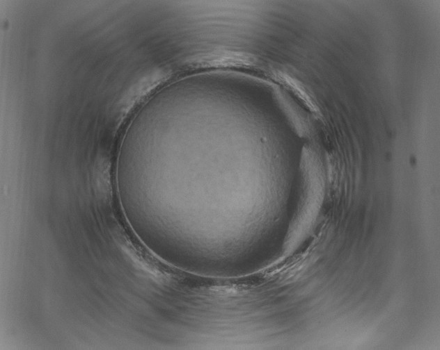 X0000070190394200606021102