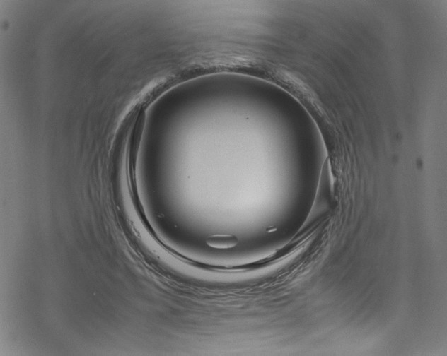 X0000070190395200606021102