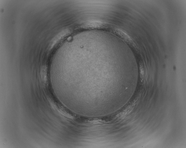 X0000070190396200606021102