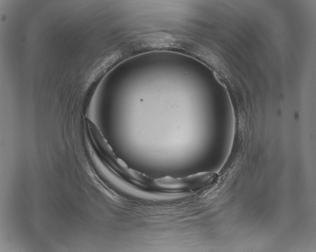 X0000070190397200606021102