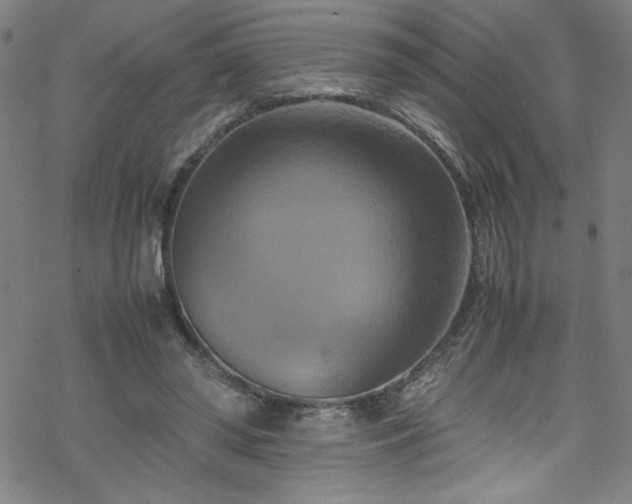 X0000070190398200606021102