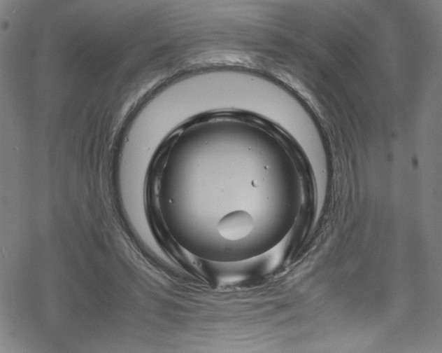 X0000070190399200606021102