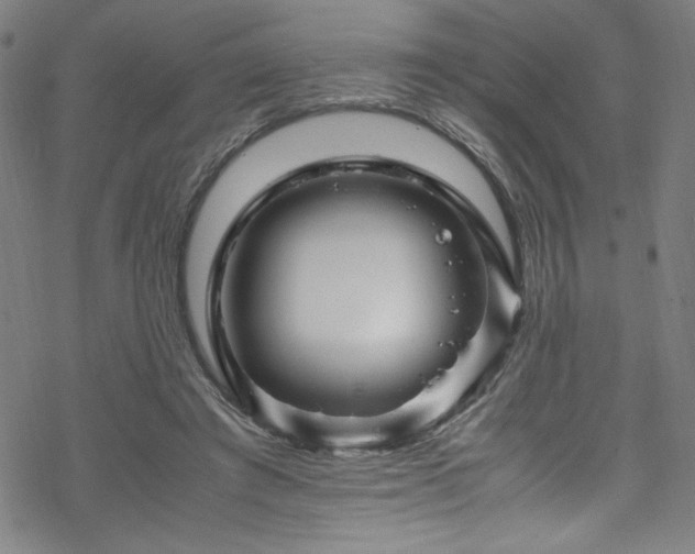 X0000070190401200606021102