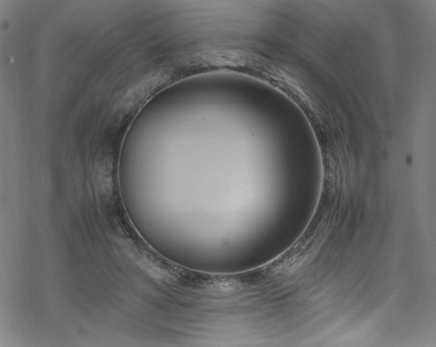 X0000070190402200606021102