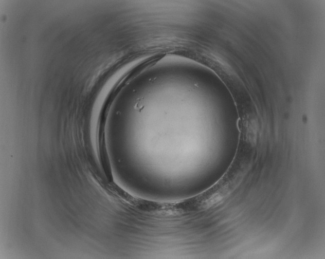 X0000070190404200606021102