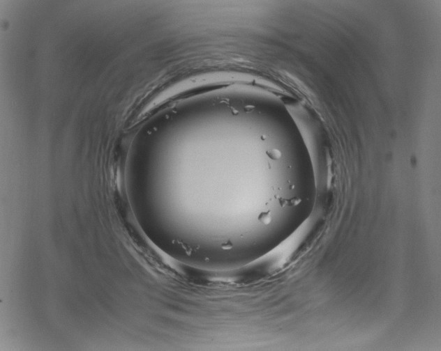 X0000070190405200606021102