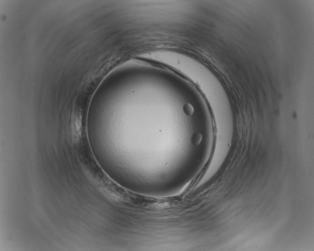 X0000070190406200606021102