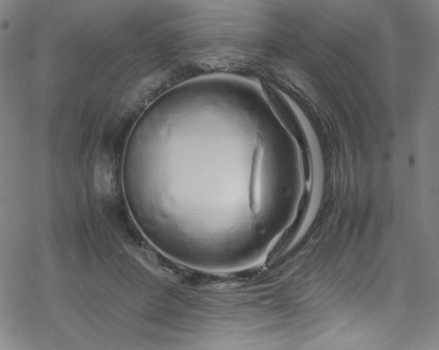 X0000070190408200606021102