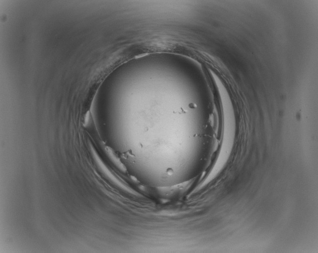 X0000070190409200606021102