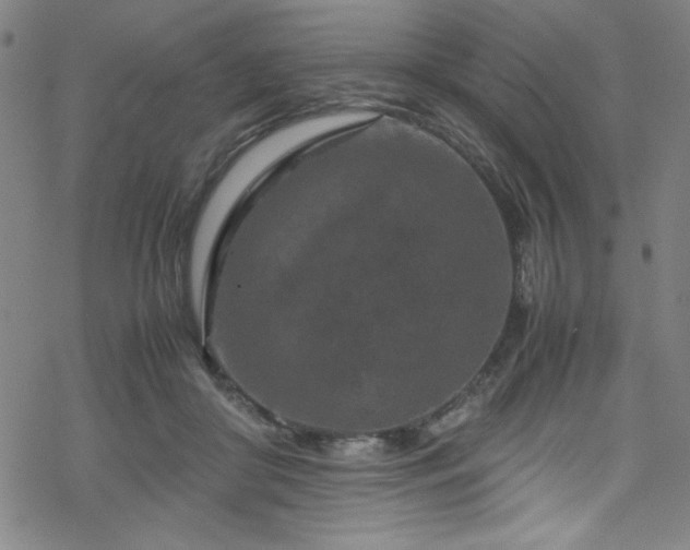 X0000070190410200606021102