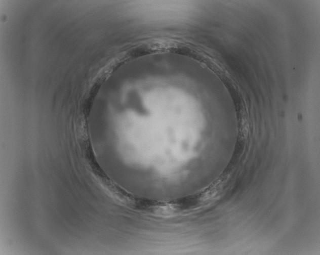 X0000070190411200606021102