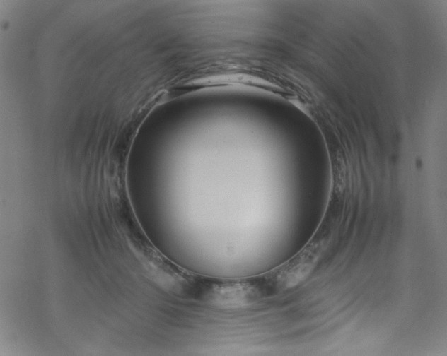 X0000070190414200606021102