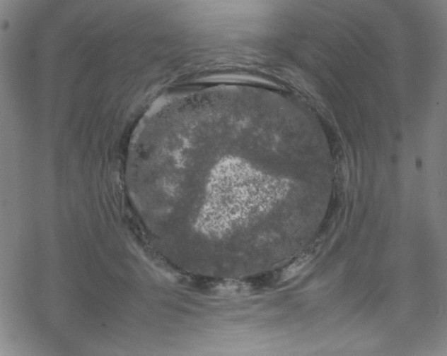 X0000070190415200606021102