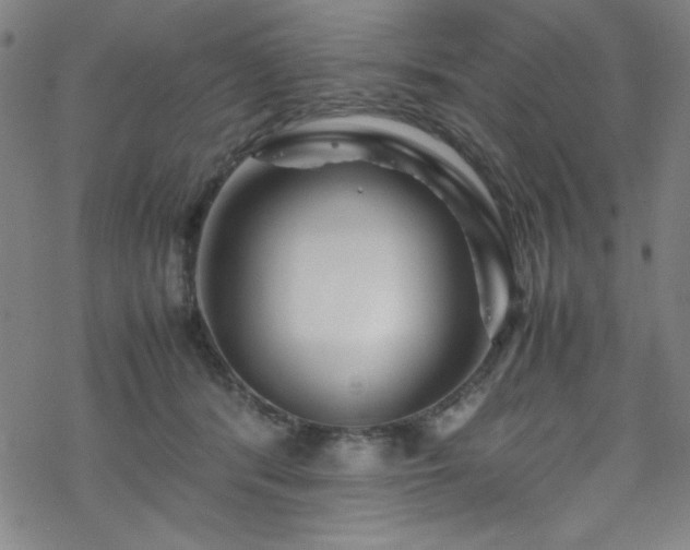 X0000070190416200606021102