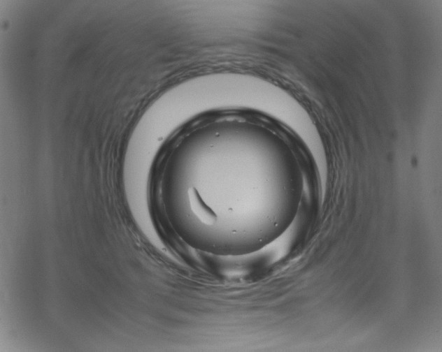 X0000070190417200606021102