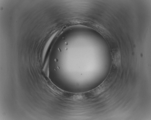 X0000070190418200606021102