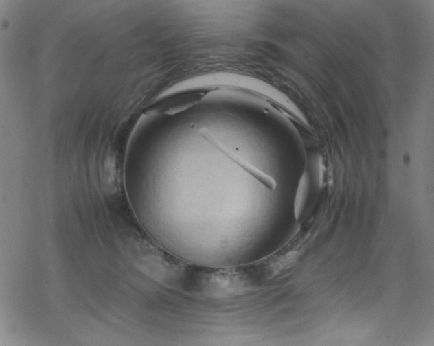 X0000070190420200606021102