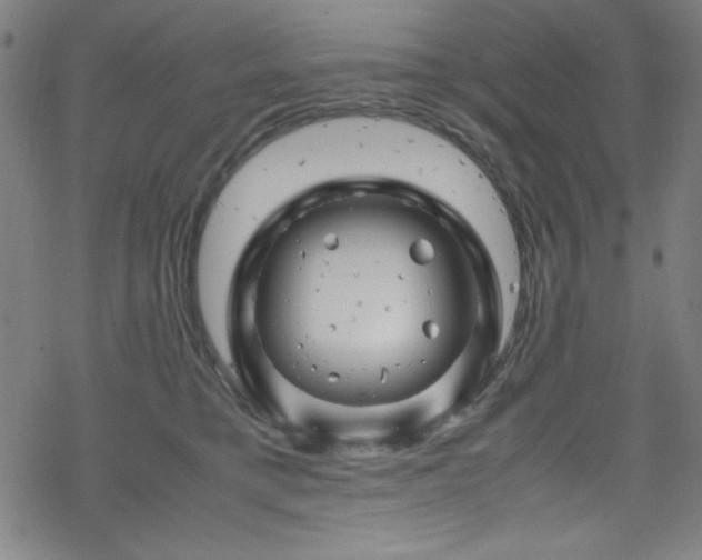 X0000070190421200606021102