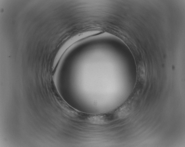 X0000070190422200606021102