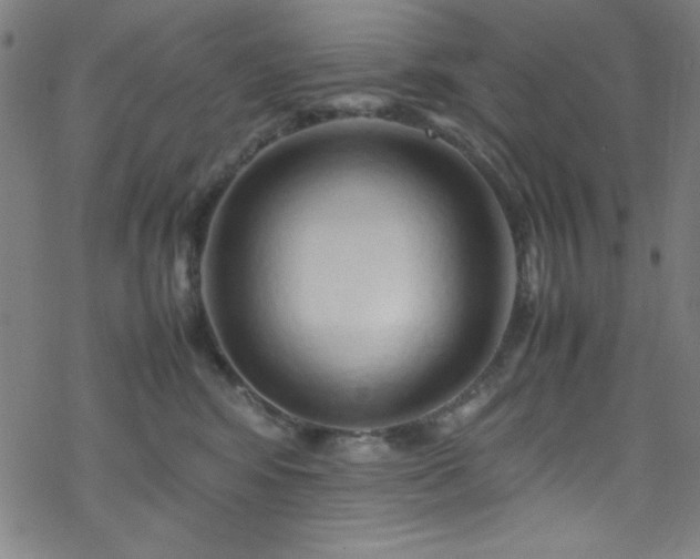 X0000070190424200606021102