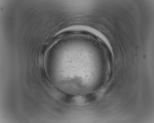 X0000070190425200606021102