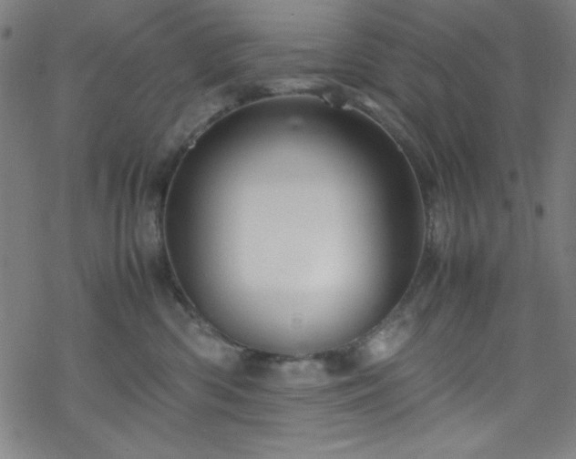 X0000070190426200606021102