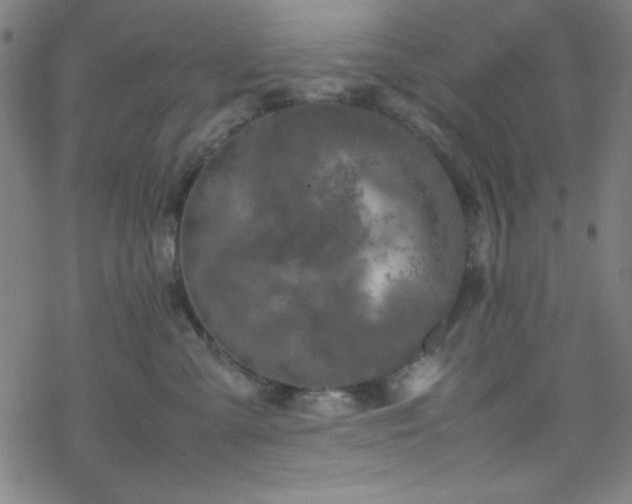 X0000070190427200606021102