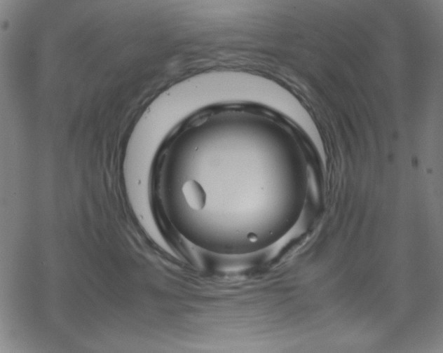 X0000070190429200606021102