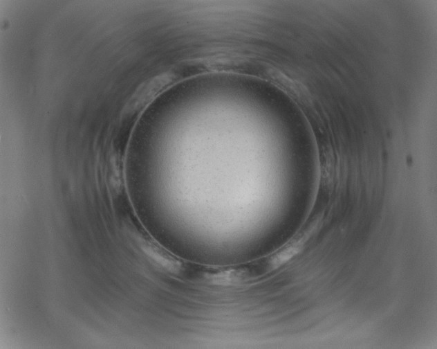 X0000070190430200606021102