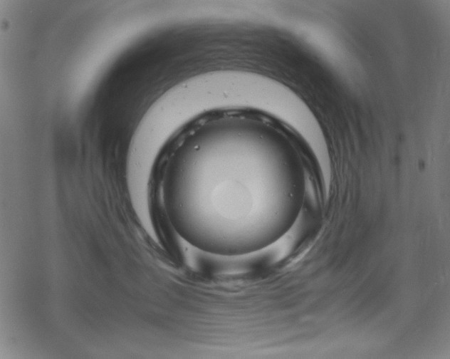 X0000070190431200606021102