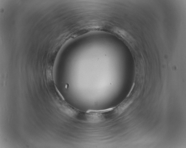 X0000070190432200606021102