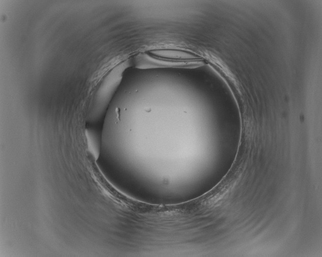 X0000070190433200606021101