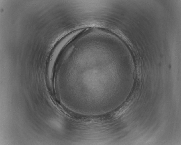 X0000070190434200606021101