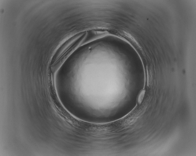 X0000070190435200606021101