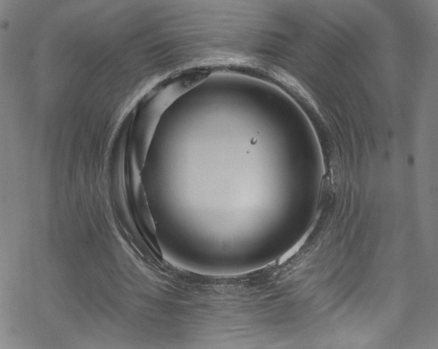 X0000070190436200606021101