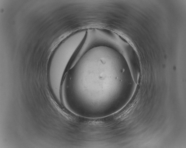 X0000070190437200606021101