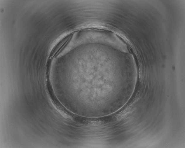 X0000070190438200606021101