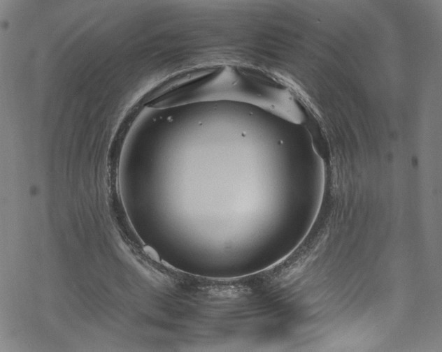 X0000070190439200606021101