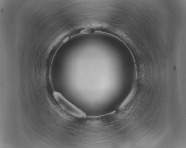 X0000070190440200606021101