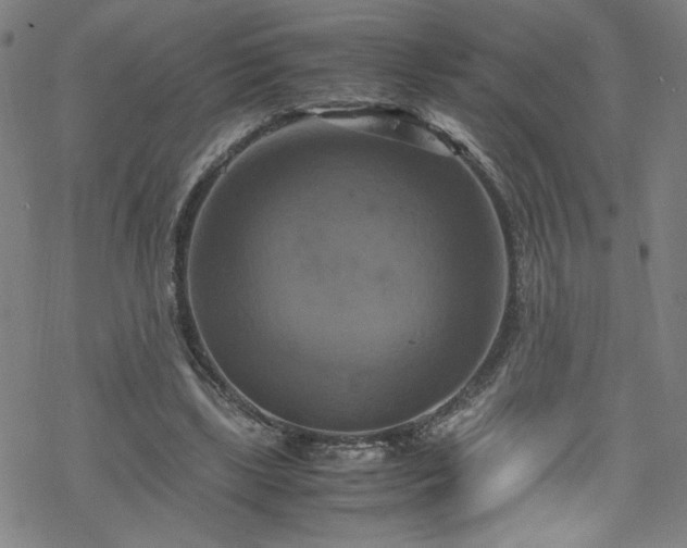 X0000070190443200606021101