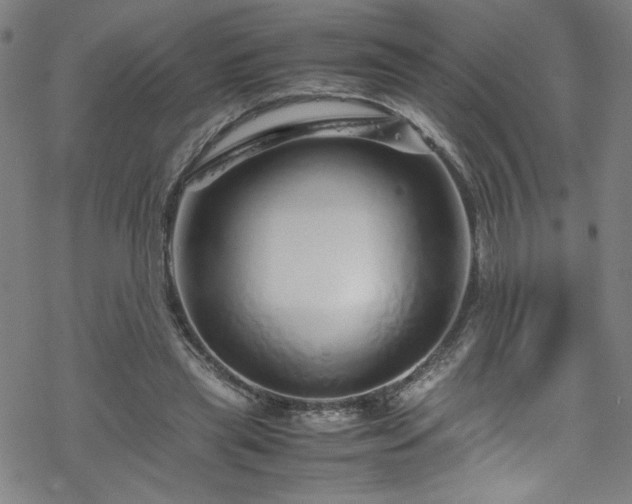 X0000070190445200606021101